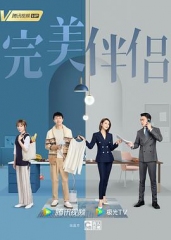 完美伴侣 完美伴侣