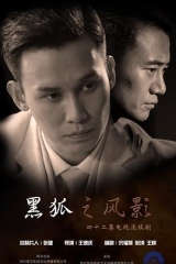 黑狐之风影 黑狐之风影