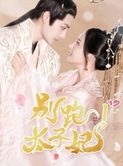 别跑太子妃 别跑太子妃