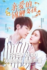 亲爱的锦鲤女孩 亲爱的锦鲤女孩