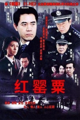 红罂粟 红罂粟