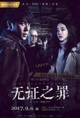 无证之罪 无证之罪