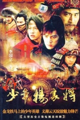 少年杨家将 少年杨家将