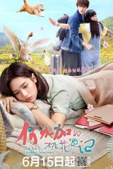 何加加的桃花源记 何加加的桃花源记