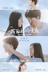 我的白鲸男友 我的白鲸男友