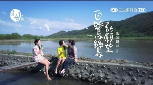 白鹭鸶的愿望 白鹭鸶的愿望