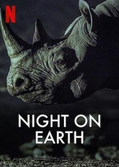 地球的夜晚 地球的夜晚