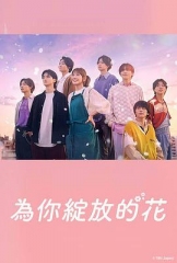 成为你的花 成为你的花