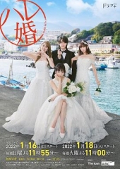 后宫婚 后宫婚