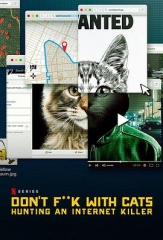 别惹猫咪:追捕虐猫者 别惹猫咪:追捕虐猫者