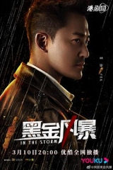 黑金风暴粤 黑金风暴粤