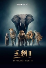 王朝第二季 王朝第二季