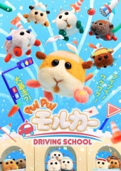 天竺鼠车车学车篇 天竺鼠车车学车篇
