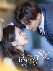 总裁的小甜妻 总裁的小甜妻