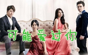 可能爱上了你 可能爱上了你