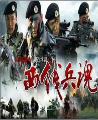 西线兵魂 西线兵魂