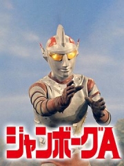 珍宝A 珍宝A