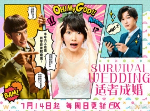 适者成婚 适者成婚