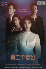 第二个老公 第二个老公
