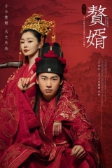 赘婿 赘婿