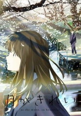 月色真美 月色真美