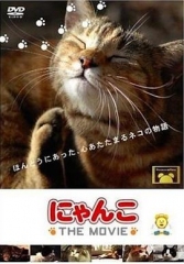 猫咪合租屋 猫咪合租屋