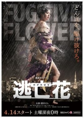 逃亡花 逃亡花