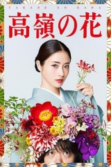 高岭之花 高岭之花