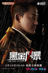 黑金风暴粤语 黑金风暴粤语