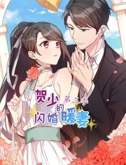 贺少的闪婚暖妻第三季 贺少的闪婚暖妻第三季