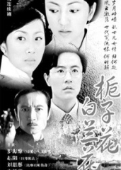 栀子花白兰花 栀子花白兰花