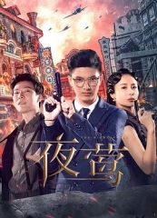 夜莺 夜莺