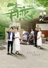 青恋TV版 青恋TV版