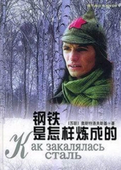 钢铁是怎样炼成的 钢铁是怎样炼成的