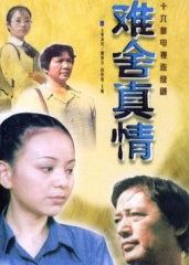 难舍真情 难舍真情