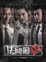 法网追凶 法网追凶