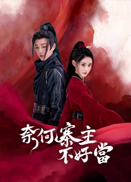 奈何寨主不好当 奈何寨主不好当