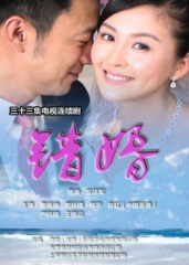 错婚 错婚