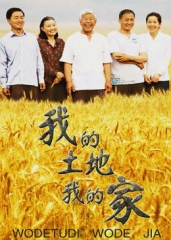 我的土地我的家 我的土地我的家
