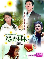 绿光森林 绿光森林