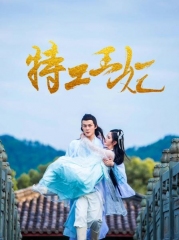 特工王妃 特工王妃