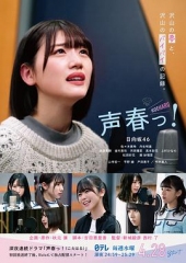 声音之春 声音之春