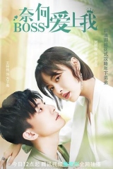 奈何BOSS爱上我 奈何BOSS爱上我