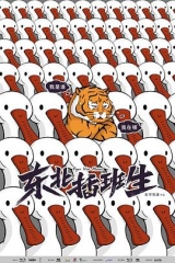 东北插班生2022 东北插班生2022