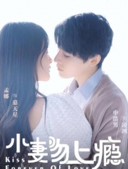 小妻吻上瘾第一季 小妻吻上瘾第一季