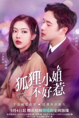 狐狸小姐不好惹 狐狸小姐不好惹