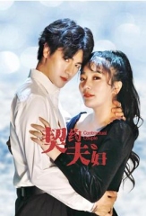 契约夫妇 契约夫妇