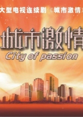 城市激情 城市激情