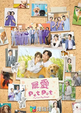 宠爱PetPet粤 宠爱PetPet粤