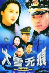 大雪无痕 大雪无痕